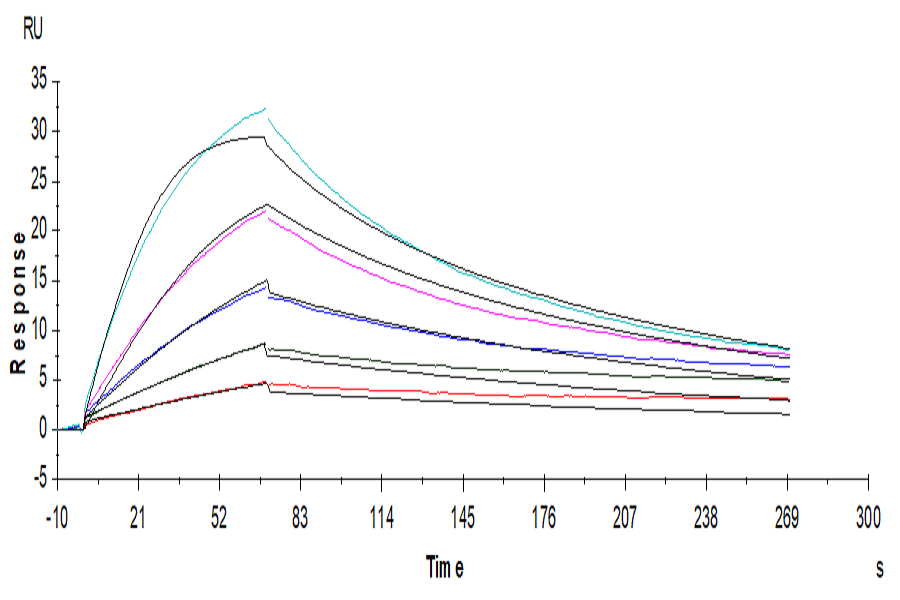 Human GM-CSF Protein (LTP10761)