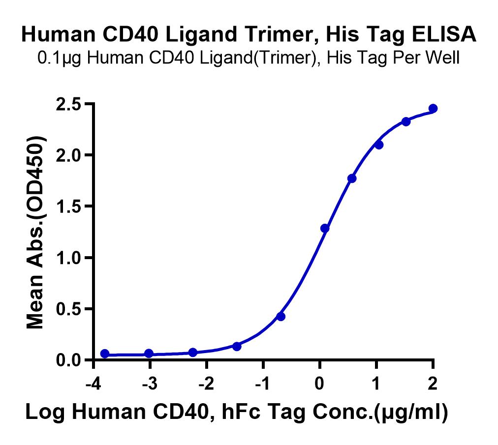 Human CD40 Ligand/TNFSF5 Trimer Protein (LTP10762)
