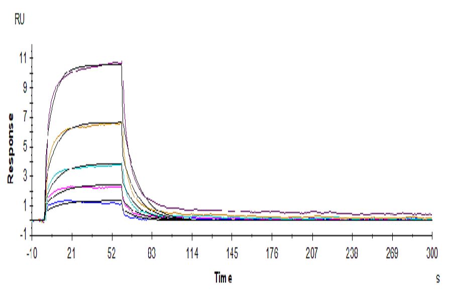 Human HVEM/TNFRSF14 Protein (LTP10778)