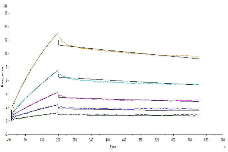 Human/Cynomolgus/Rhesus macaque CD28 Protein (LTP10785)