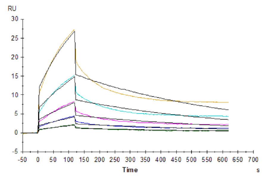 Human CD47 Protein (LTP10787)