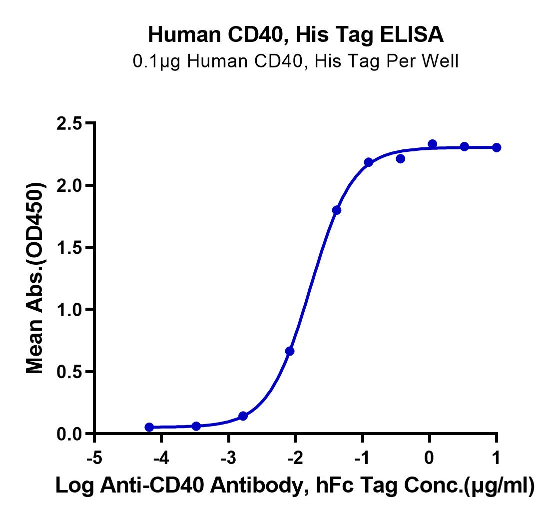 Human CD40/TNFRSF5 Protein (LTP10790)