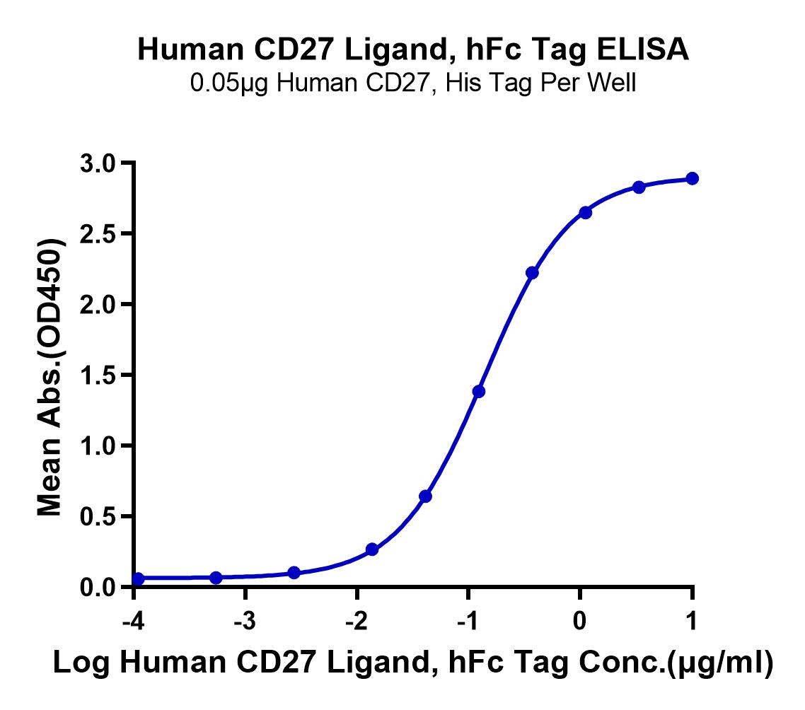 Human CD27 Ligand/CD70 Protein (LTP10794)