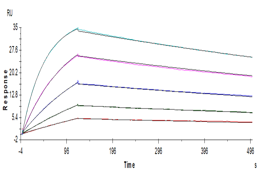 Human BTLA Protein (LTP10803)