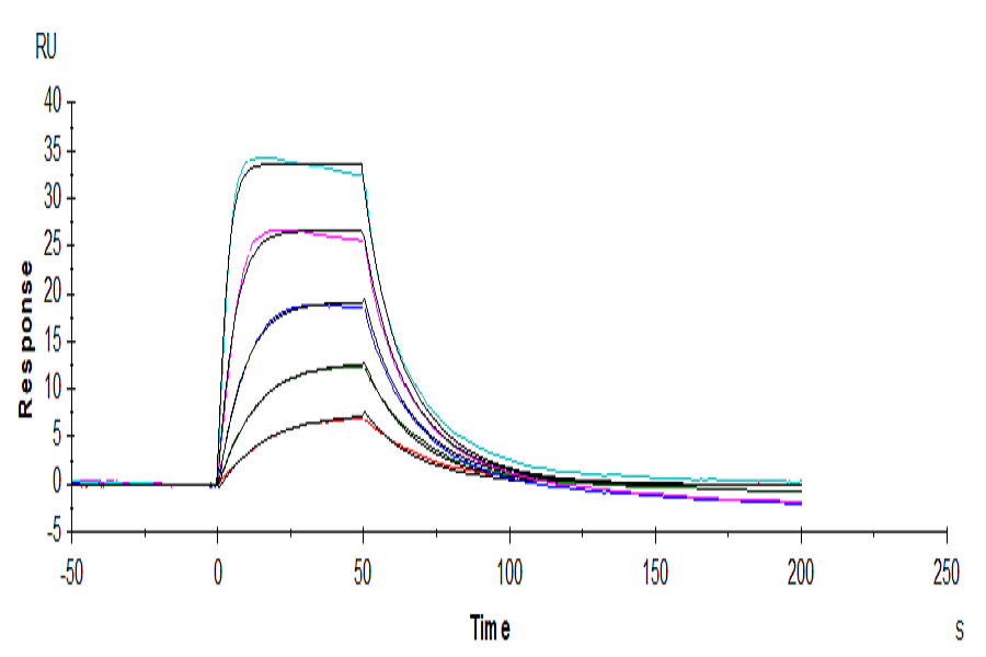 Human IL-2 R alpha/CD25 Protein (LTP10809)