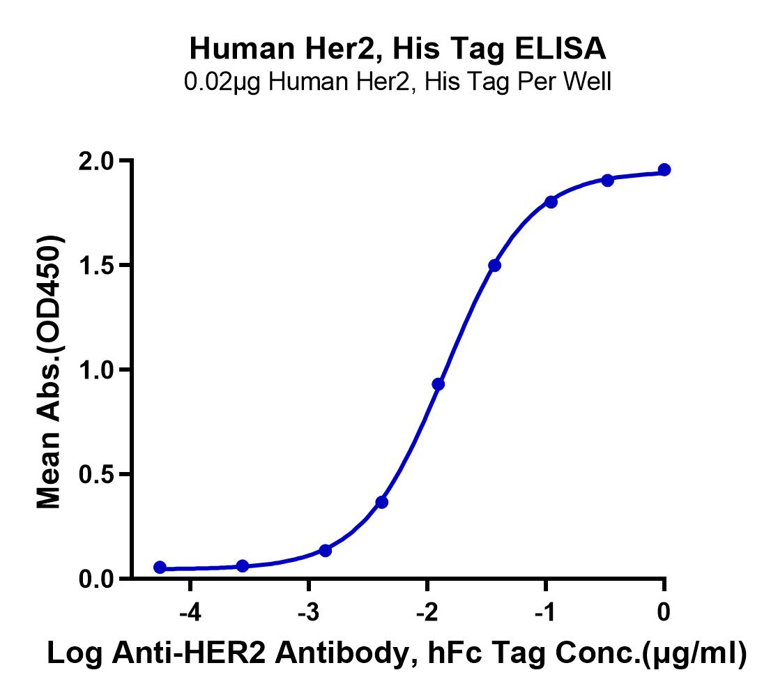 Human Her2/ErbB2 Protein (LTP10812)