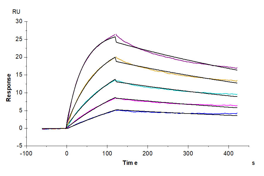 Human IL-23R Protein (LTP10824)