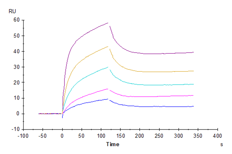 Human IL-6 R alpha/CD126 Protein (LTP10837)