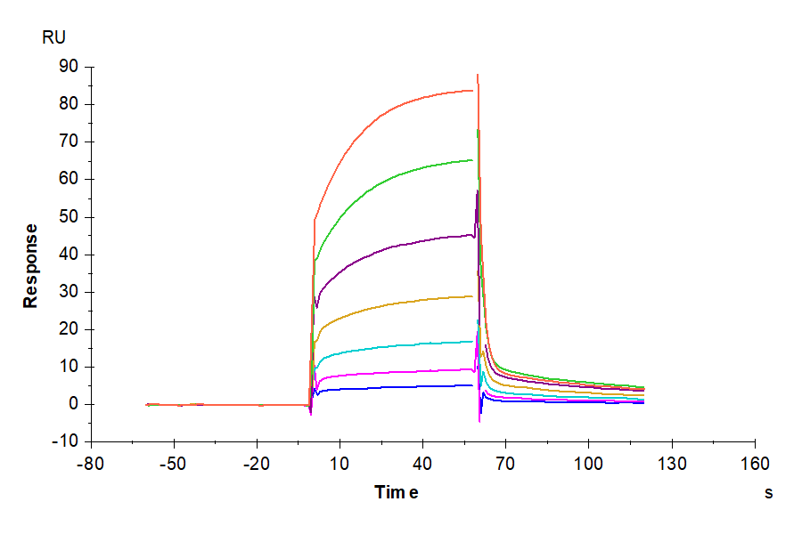 Cynomolgus PD-L1/B7-H1 Protein (LTP10840)