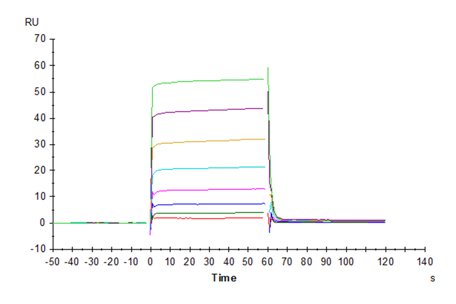 Human Fc gamma RIIA/CD32a (H167) Protein (LTP10855)