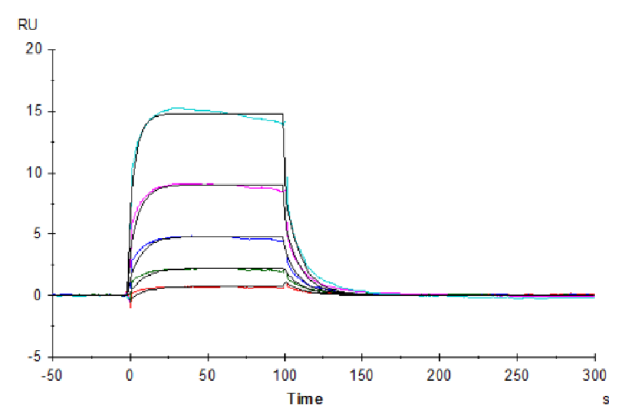 Human Fc gamma RIIIA/CD16a (F176) Protein (LTP10856)