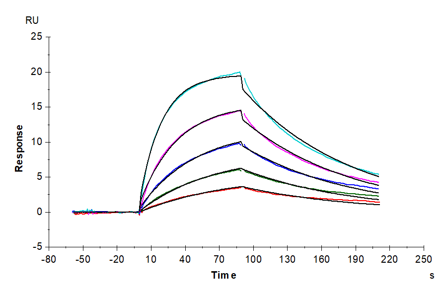 Human B7-H2/ICOSLG Protein (LTP10884)