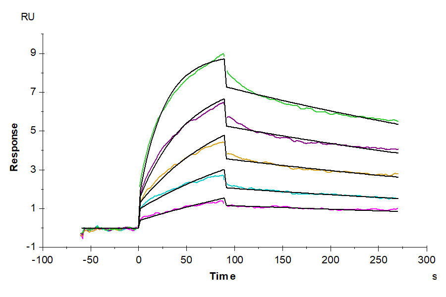 Human LILRB4/CD85k/ILT3 Protein (LTP10934)