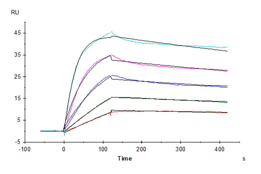 Human LAIR1/CD305 Protein (LTP10943)