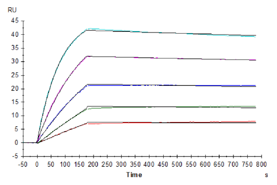 Human IL-10 Protein (LTP10970)