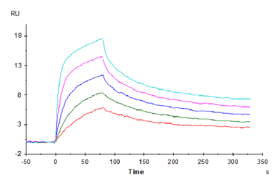 Human CD3E&CD3G/CD3 epsilon&CD3 gamma Protein (LTP10978)