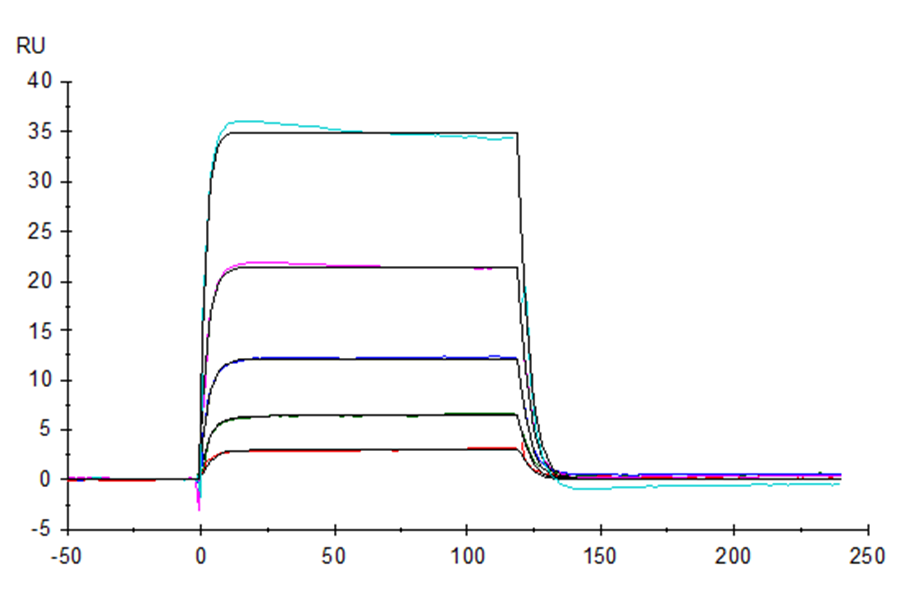Human KIR3DL3 Protein (LTP10992)