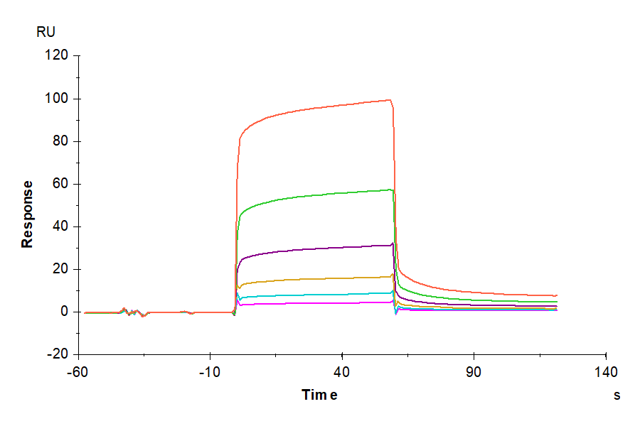 Human CEACAM-6/CD66c Protein (LTP11012)