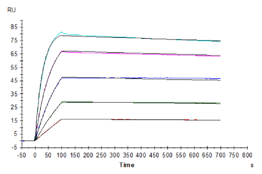 Human CEACAM-5/CD66e Protein (LTP11013)