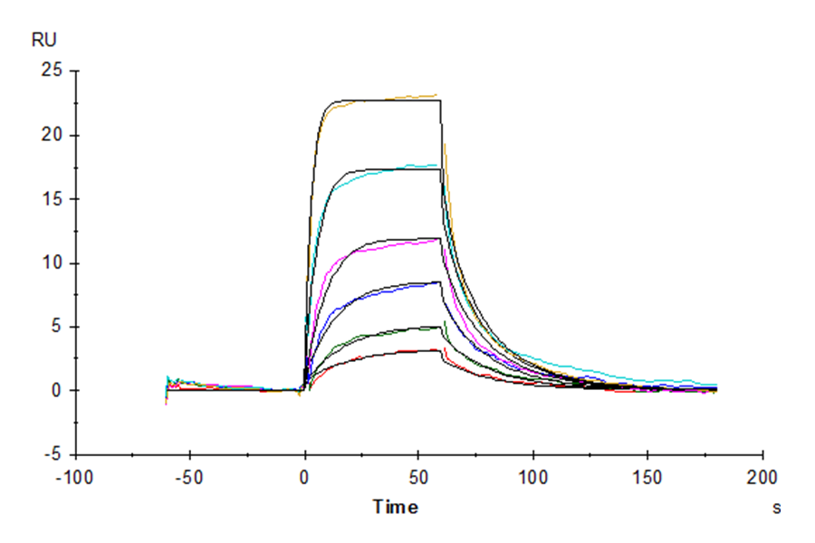 Human IL-7 Protein (LTP11015)