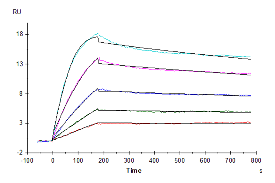 Human IL-15 Protein (LTP11017)