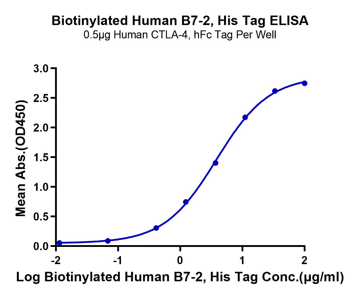 Biotinylated Human B7-2/CD86 Protein (LTP11026)