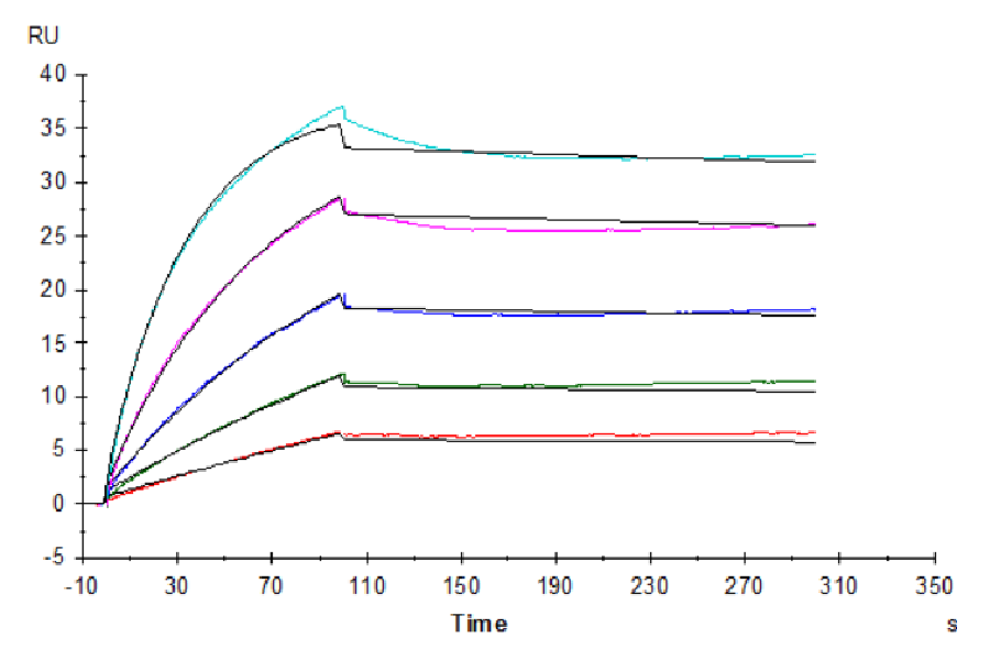 Human FGF21 Protein (LTP11055)