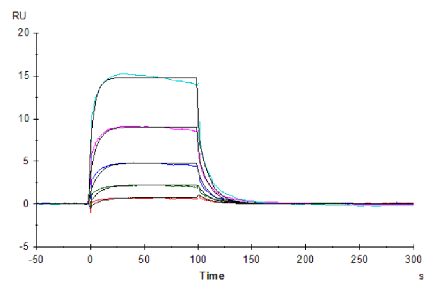 Biotinylated Human Fc gamma RIIIA/CD16a (F176) Protein (LTP11065)