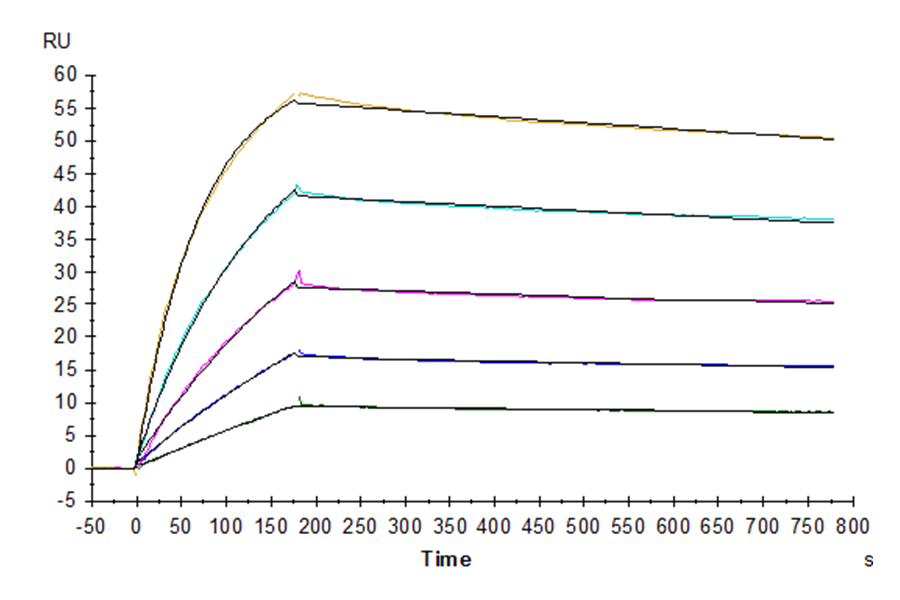 Biotinylated Human TRAIL R1/DR4/TNFRSF10A Protein (LTP11074)