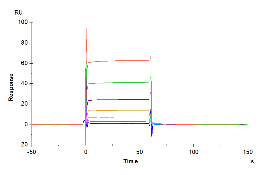 Biotinylated Human Fc gamma RIIB/CD32b Protein (LTP11083)